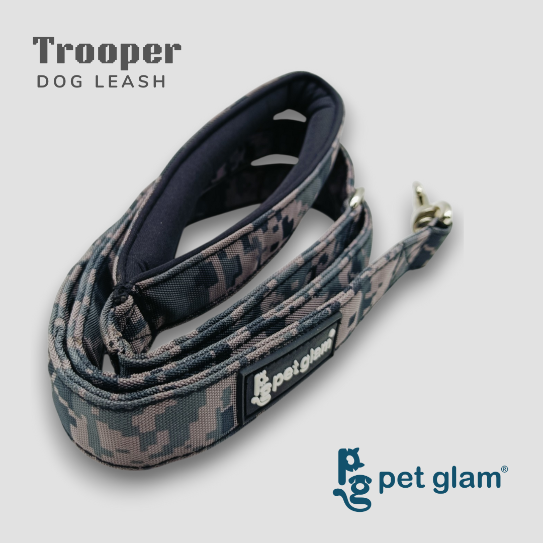 Trooper-4