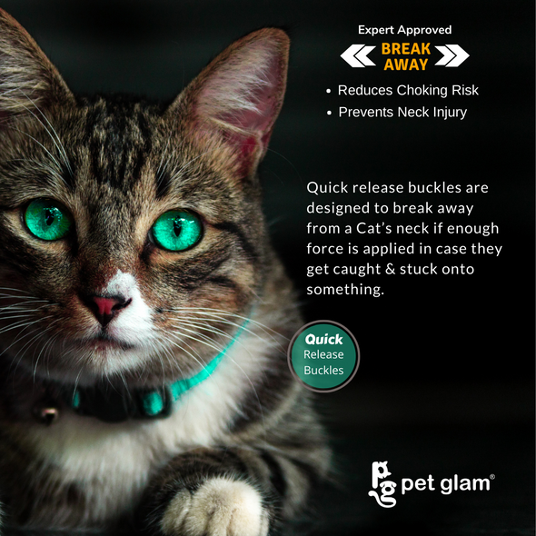Pet Glam Cat Collars Pack Of 2 -Breakaway Collar for Cats & Kittens (Assorted Designs)
