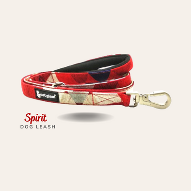 Pet Glam-Dog Leash SPIRIT Large-with Padded Handle Leash for Big Dogs