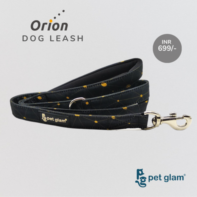 Pet Glam-Dog Leash Orion Large-with Padded Handle 1" wide - Leash for Big Dogs