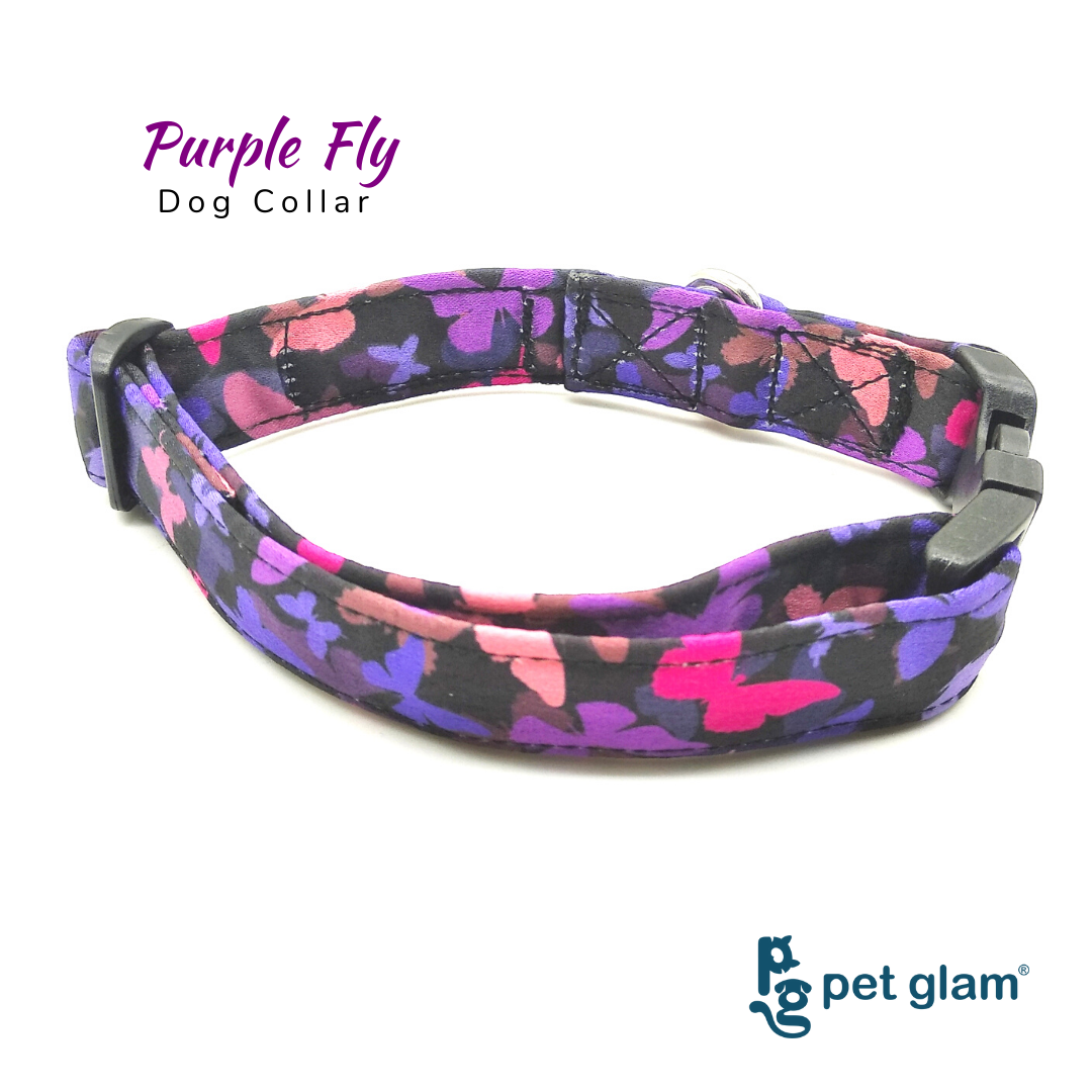Pet Glam Pet Collar Purple Fly with extra safe Buckle Strong Collar for Large Dogs