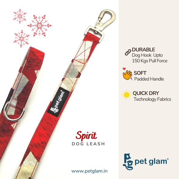 Pet Glam-Dog Leash SPIRIT Large-with Padded Handle Leash for Big Dogs