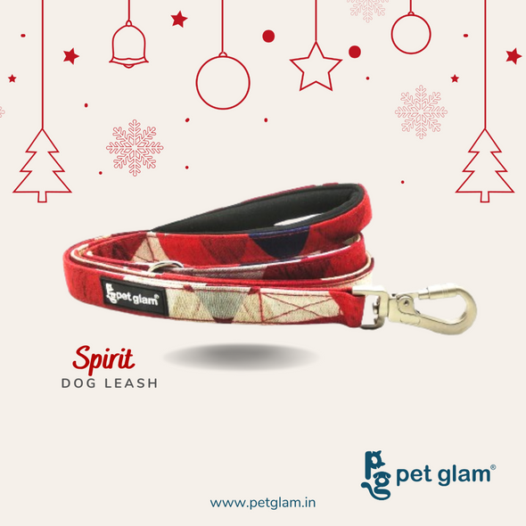 Pet Glam-Dog Leash SPIRIT Large-with Padded Handle Leash for Big Dogs