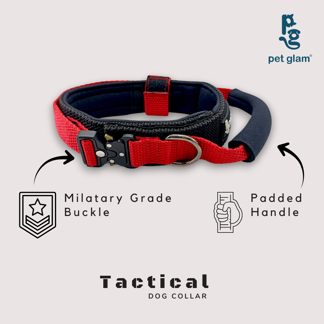 Pet Glam Loki Tactical Dog Collar for Dogs | Heavy Duty Control Collar for Training Walking and Outdoor Use