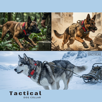 Pet Glam Loki Tactical Dog Collar for Dogs | Heavy Duty Control Collar for Training Walking and Outdoor Use