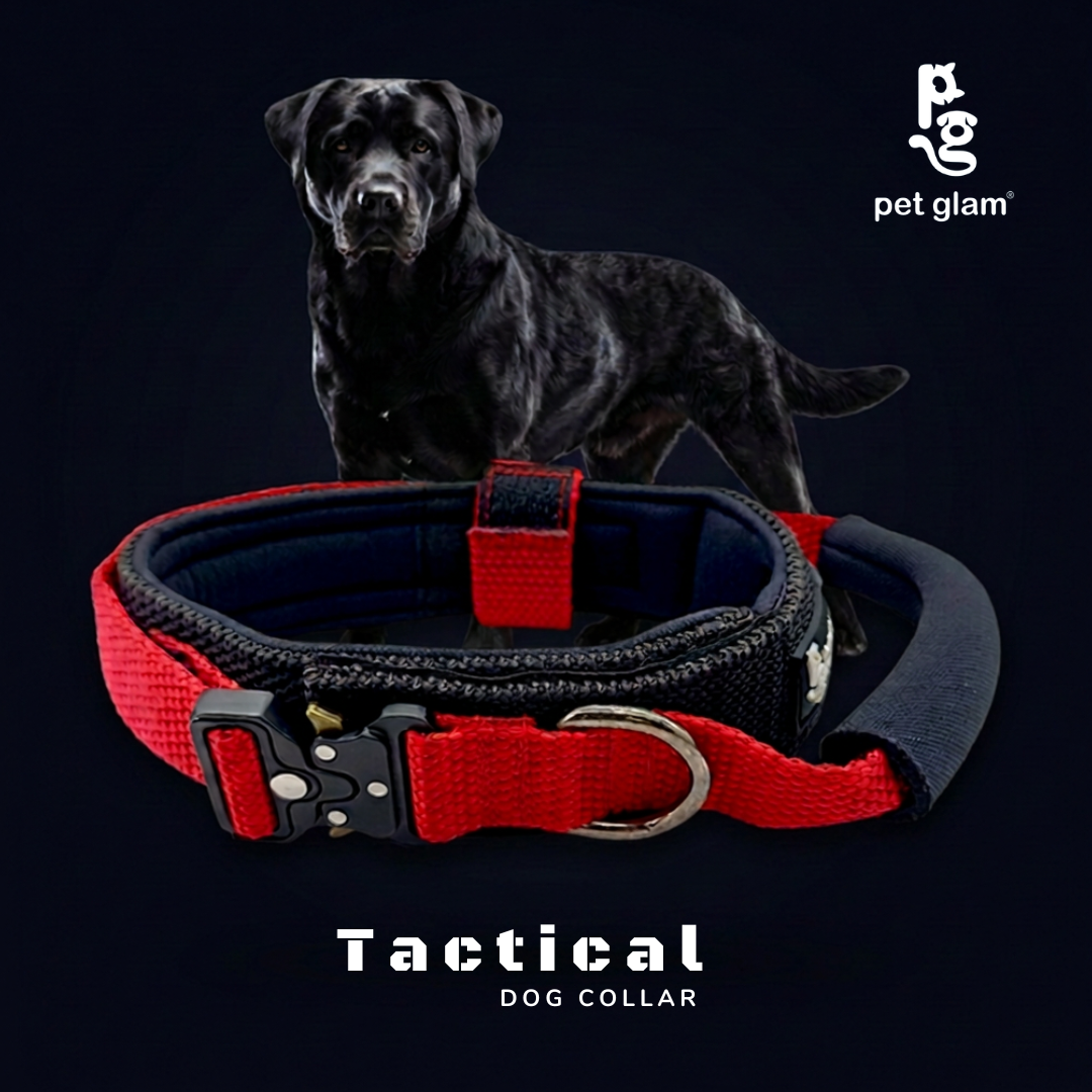 Pet Glam Loki Tactical Dog Collar for Dogs | Heavy Duty Control Collar for Training Walking and Outdoor Use