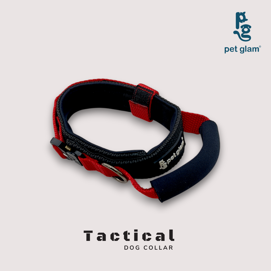Pet Glam Loki Tactical Dog Collar for Dogs | Heavy Duty Control Collar for Training Walking and Outdoor Use