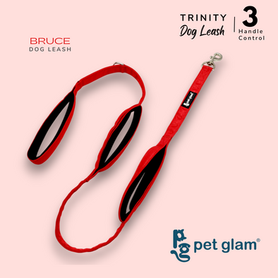 Pet Glam 3 Handle Dog Leash -Trinity Bruce | Padded Grip| L-5ft Long 1" Wide