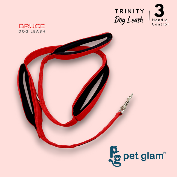 Pet Glam 3 Handle Dog Leash -Trinity Bruce | Padded Grip| L-5ft Long 1" Wide