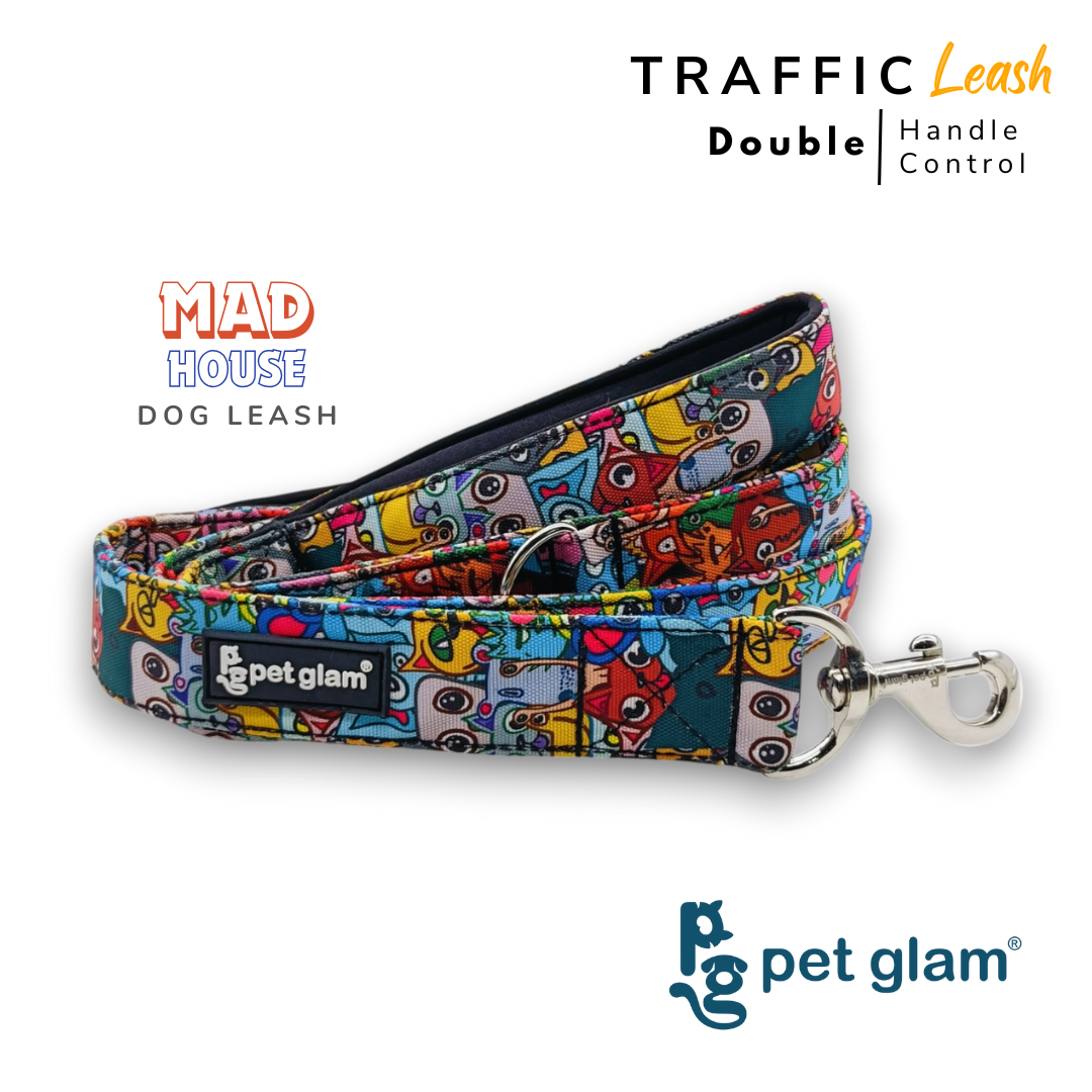 Pet Glam Mad House Dog Leash for Dogs | 5 Ft Heavy Duty Leash with Soft Padded Handle