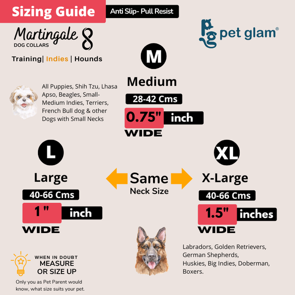 Martingale Collar for Dogs -Mad House