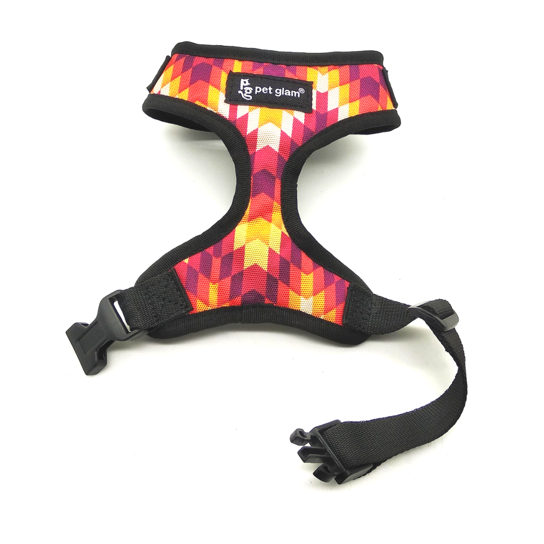 Blaze-2