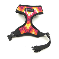 Blaze-2