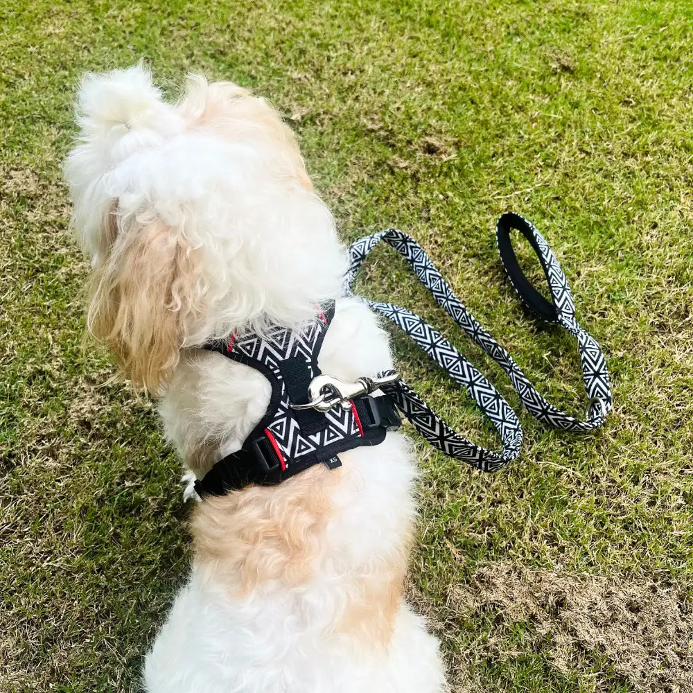 Pet Glam Shadow ComFURt Fit Dog Harness | Padded No-Pull Harness for Dogs | Lightweight & Durable Training Harness