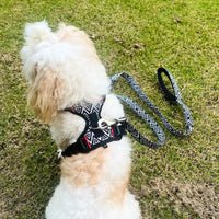 Pet Glam Shadow ComFURt Fit Dog Harness | Padded No-Pull Harness for Dogs | Lightweight & Durable Training Harness