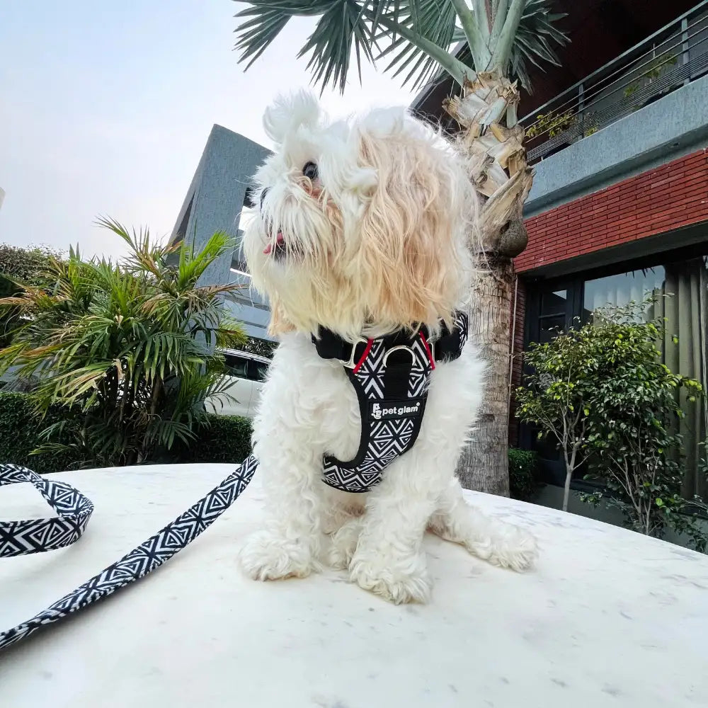 Pet Glam Shadow ComFURt Fit Dog Harness | Padded No-Pull Harness for Dogs | Lightweight & Durable Training Harness