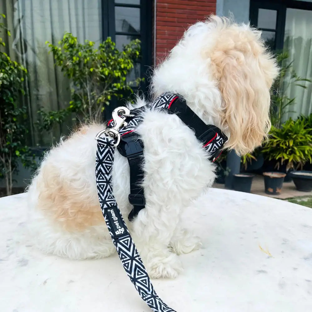 Pet Glam Shadow ComFURt Fit Dog Harness | Padded No-Pull Harness for Dogs | Lightweight & Durable Training Harness