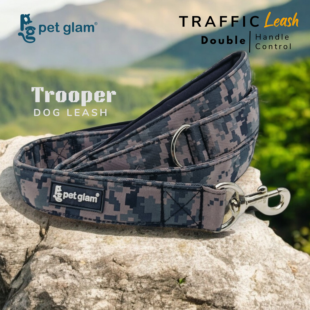 Trooper-3