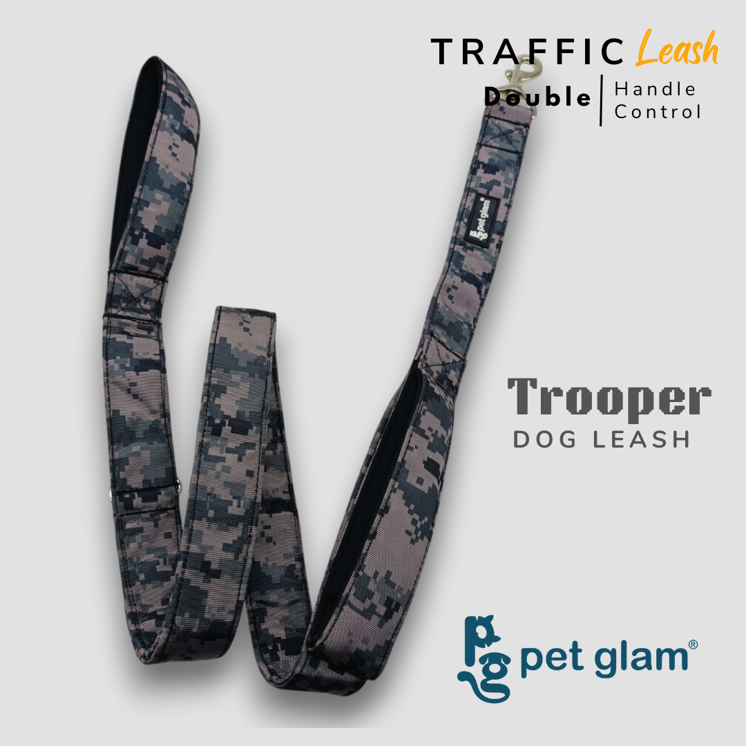 Trooper-8