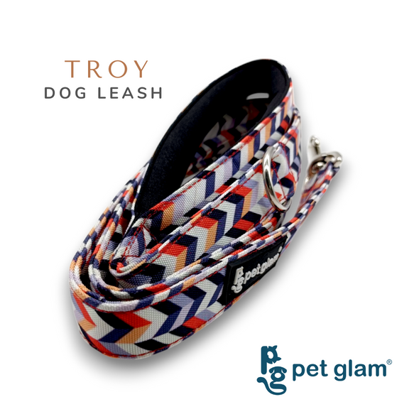 Pet Glam-Dog Leash Troy-with Padded Handle-Heavy Duty Hardware-5 Ft Long 1 inch Wide-Sprint