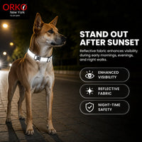 Orko New York Reflective Dog Collar Pack of 5 for Dogs | Collars For Stray Dogs