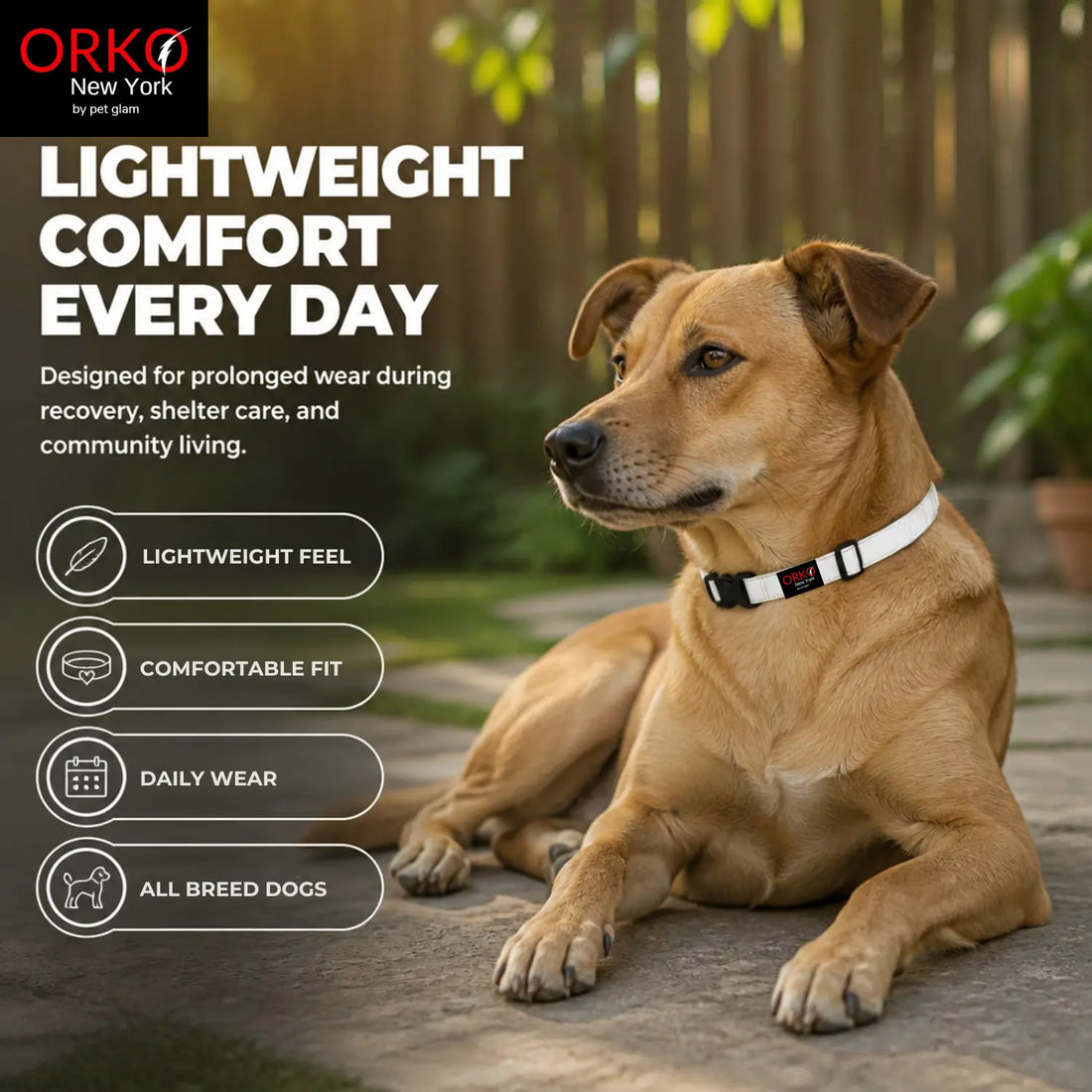 Orko New York Reflective Dog Collar Pack of 5 for Dogs | Collars For Stray Dogs