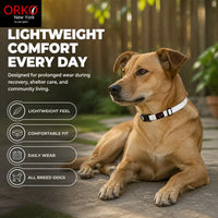 Orko New York Reflective Dog Collar Pack of 5 for Dogs | Collars For Stray Dogs