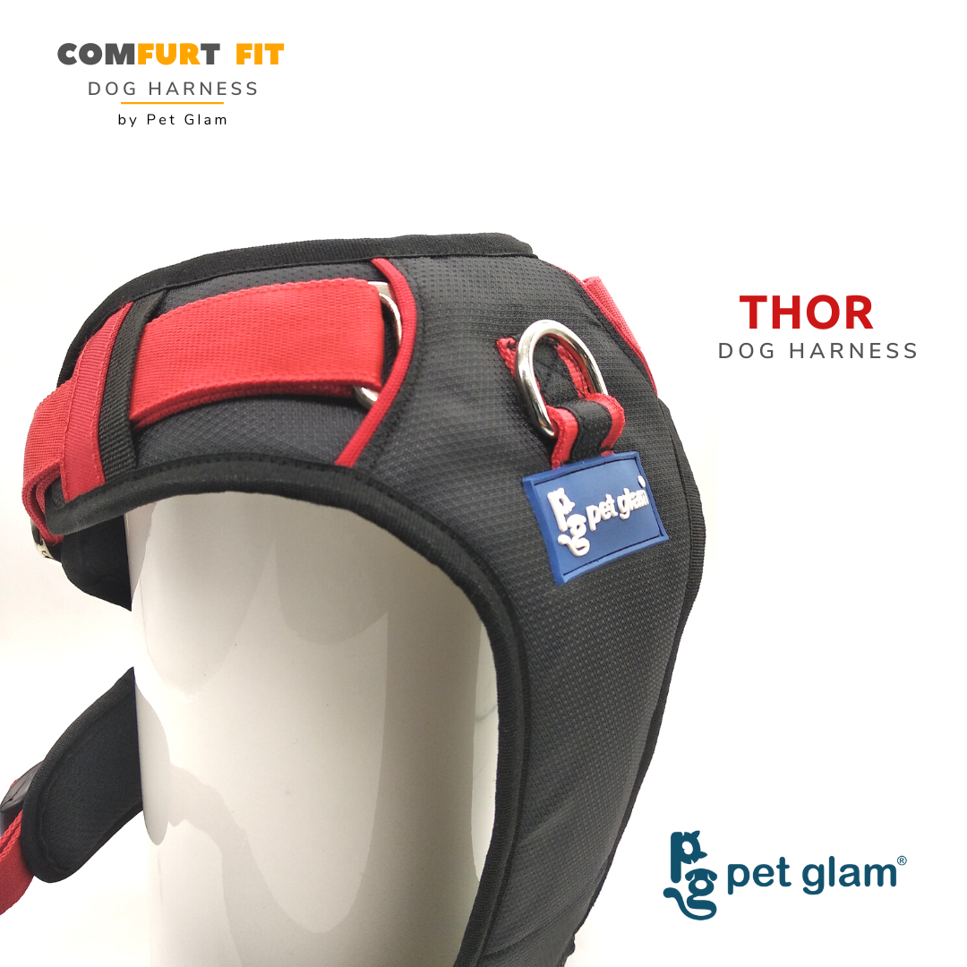 Thor dog top harness