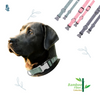 Dog Collar Bamboo Fiber Collection-Green
