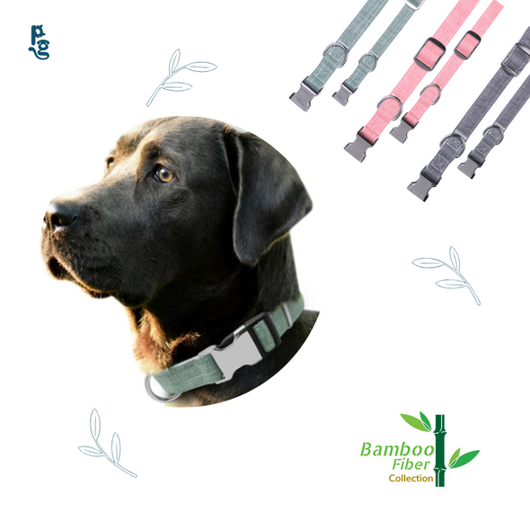 Dog Collar Bamboo Fiber Collection-Green