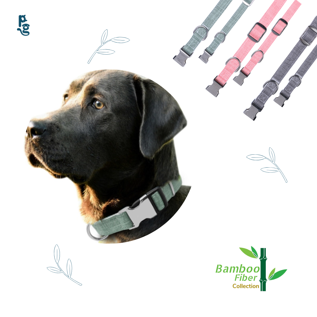 Bamboo 2024 dog collar