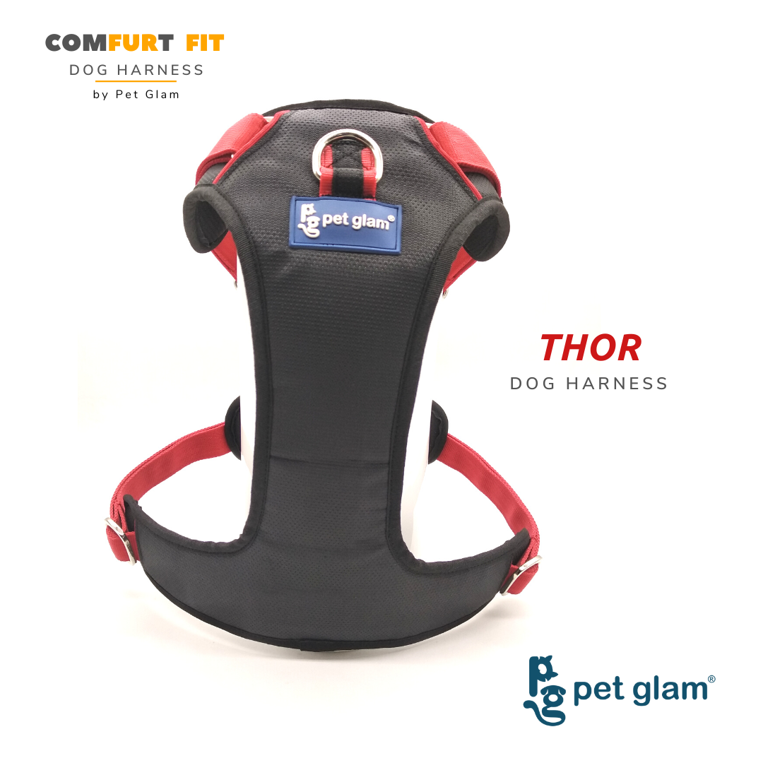 Pet Glam Dog Harness Bruce for Small Medium Large Dogs