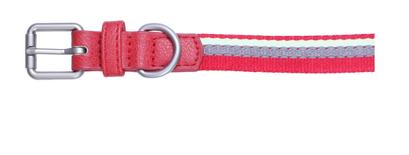 Pet Glam Canva-Dog Collar Leash Set-Adjustable Buckles for Small-Medium & Large Dog Breeds