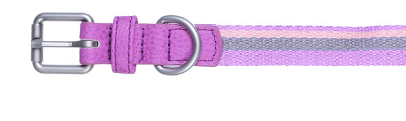 Pet Glam Canva-Dog Collar Leash Set-Adjustable Buckles for Small-Medium & Large Dog Breeds