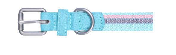 Pet Glam Canva-Dog Collar Leash Set-Adjustable Buckles for Small-Medium & Large Dog Breeds