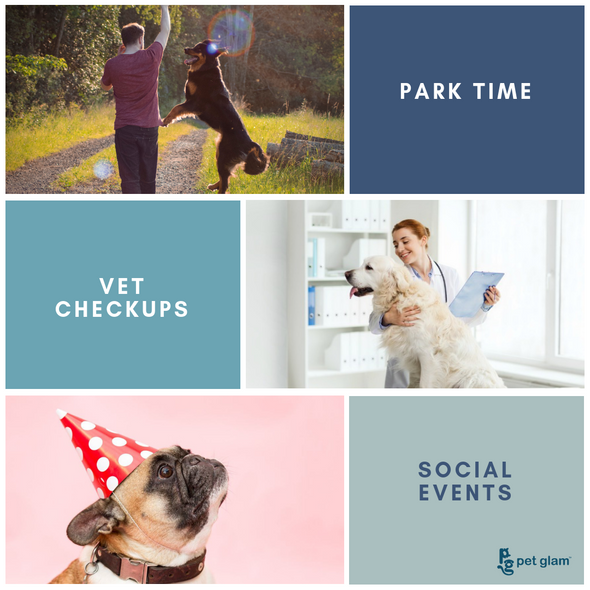 Animal car seat protector deals