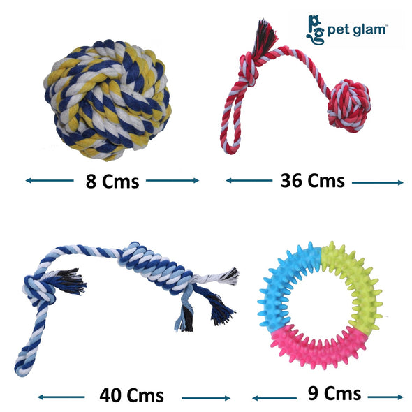 Chew Toy for Dogs-Combo (Pack of 4)
