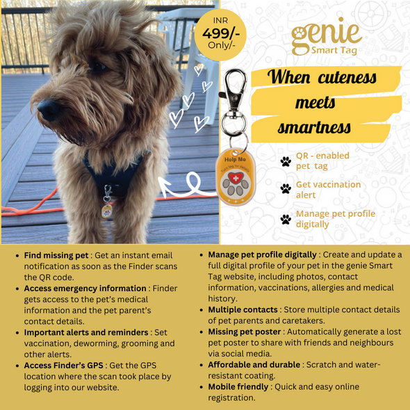 Genie Smart Tag-Lost Pet Tracker
