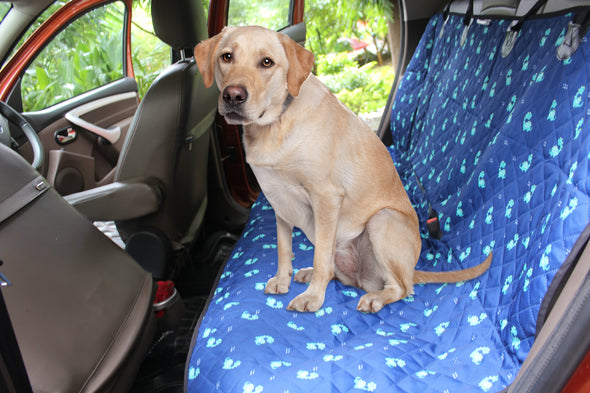 Car Seat Cover-Dino-Waterproof Scratch-Proof Nonslip-Pet & Human Travel (Back Seat)