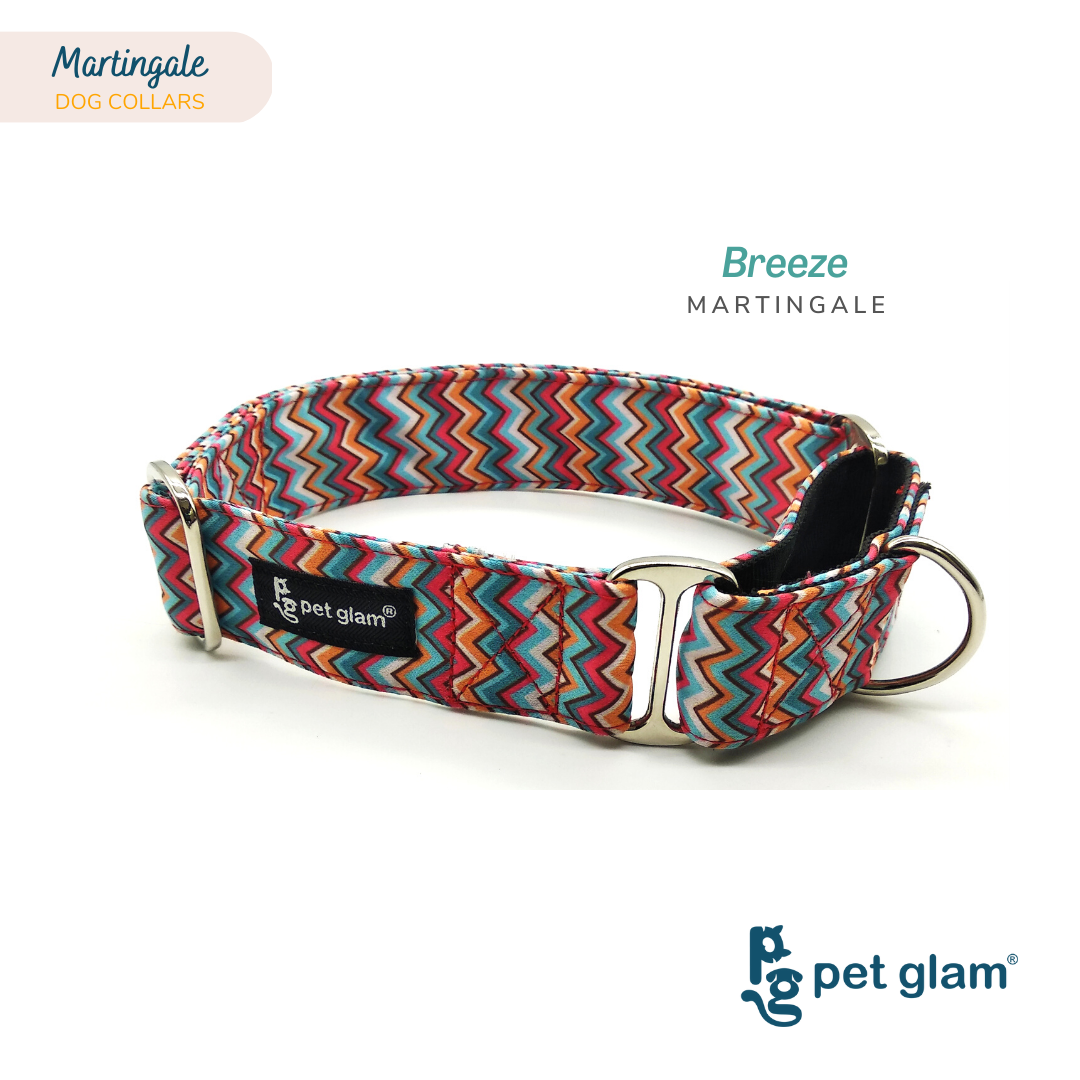 Martingale Dog Collar Breeze 1.5 inch Wide Pet Glam