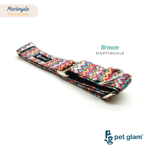 Martingale Dog Collar-Breeze 1.5 inch Wide