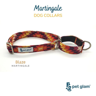 Martingale Dog Collar-BLAZE
