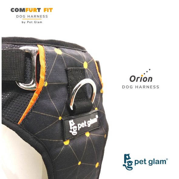 Dog Harness Orion