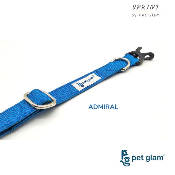 Pet Glam-Collar for Small Medium Large Dogs ADMIRAL