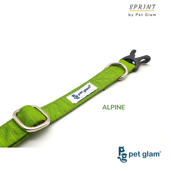 Pet Glam-Dog Collar-Alpine for Beagles Shish tzu Labrador