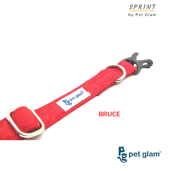 Pet Glam-Dog Collar for Large Dogs-BRUCE