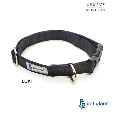 Pet Glam-Collar for Dogs- LOKI-Dog Collars for Beagles Shish tzu Labrador-Soft Collars for puppies and large dogs