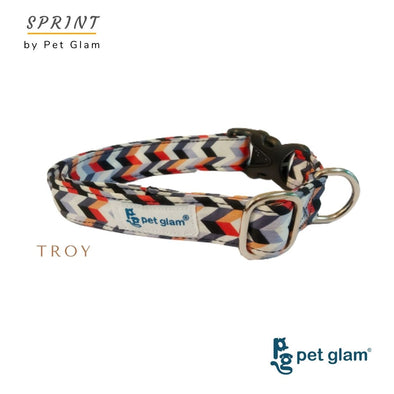 Pet Glam Dog Collar-Troy-Comfortable inner Lining-for Small Medium Large Fits-Puppy Dogs, Beagles, Labs, Indies, Huskies, JRT-Sprint Collection
