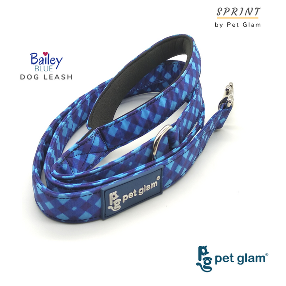 BAILEY BLUE Dog Leash