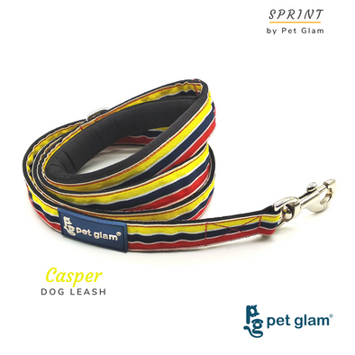 Dog Leash CASPER-for Small Medium Large Dogs-with Padded Handle-5 Ft Long 1 inch Wide